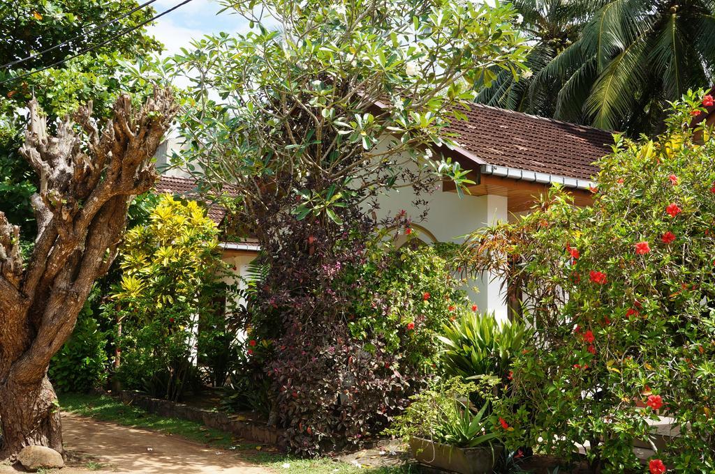 Tandem Guesthouse Хикадува Екстериор снимка