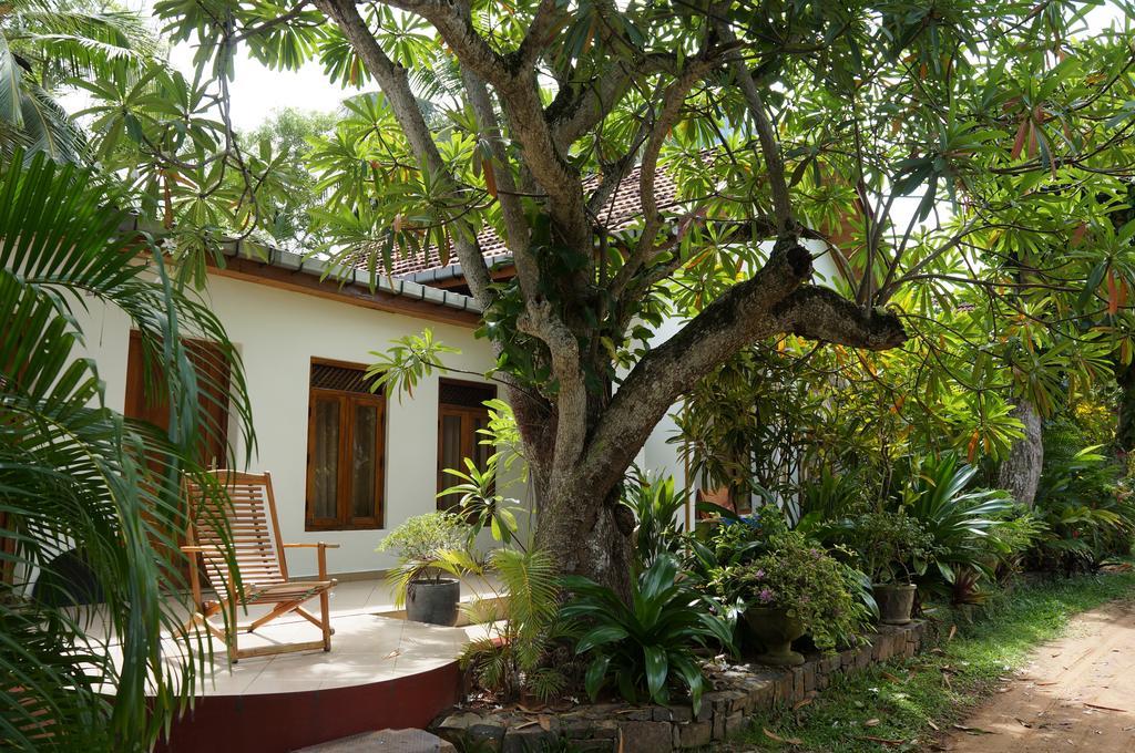 Tandem Guesthouse Хикадува Екстериор снимка